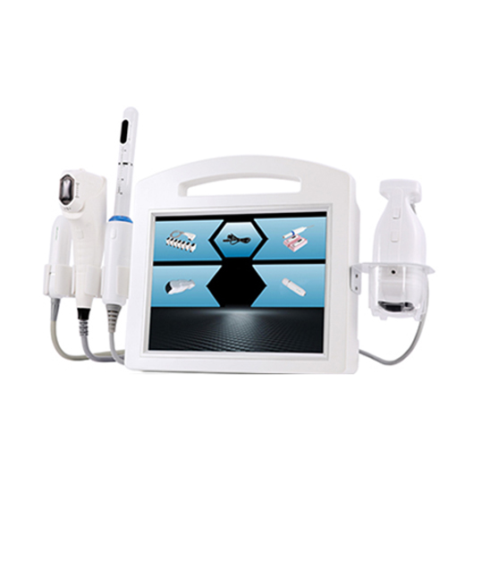 4 IN 1 Portable HIFU Beauty Machine HF4